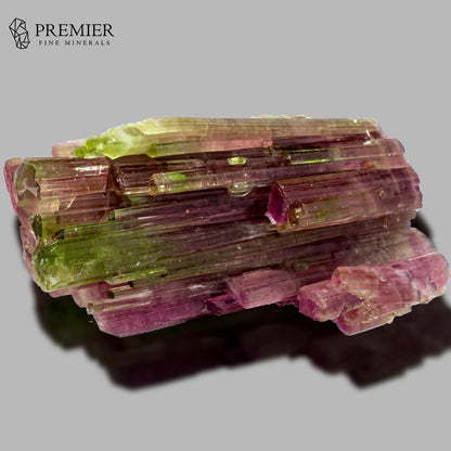 A natural tourmaline mineral specimen with vibrant pink and green crystal clusters, displayed on a neutral gray background with a soft shadow. The Premier Fine Minerals logo is visible in the top left corner.