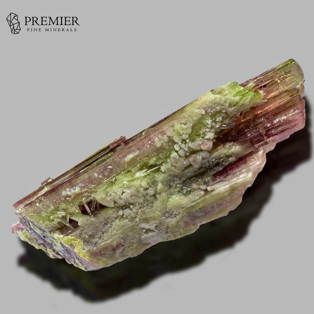 A polished mineral specimen with layered green, pink, and purple crystalline structures, displayed on a neutral gray background with a shadow. The 'PREMIER FINE MINERALS' logo is visible in the top-left corner.
