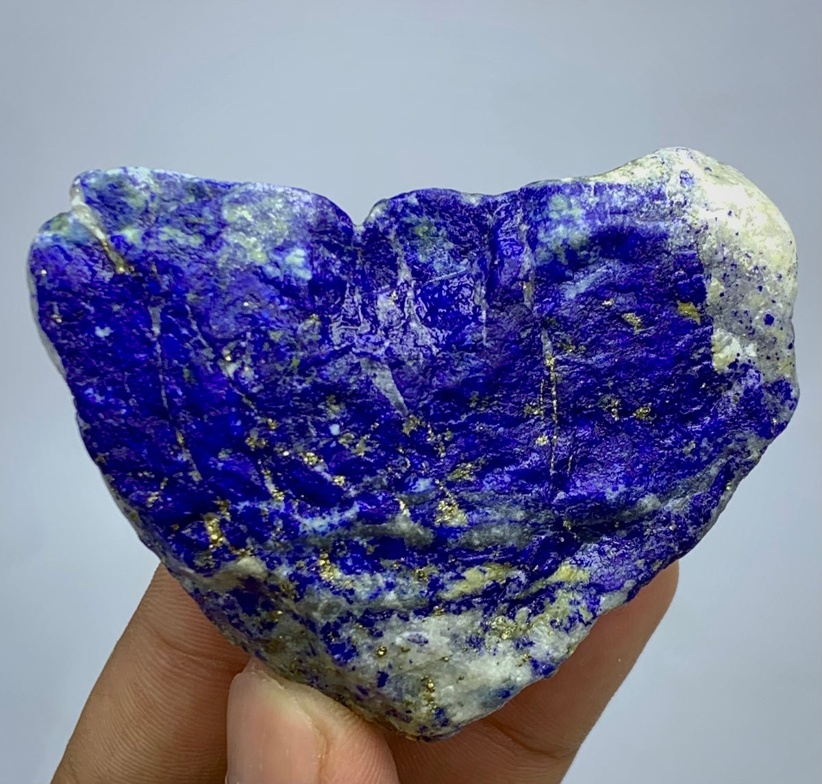 A raw, heart-shaped lapis lazuli crystal specimen held in a person's hand against a neutral light gray background. The stone features a deep blue and purple matrix with prominent gold pyrite veins and white calcite deposits.