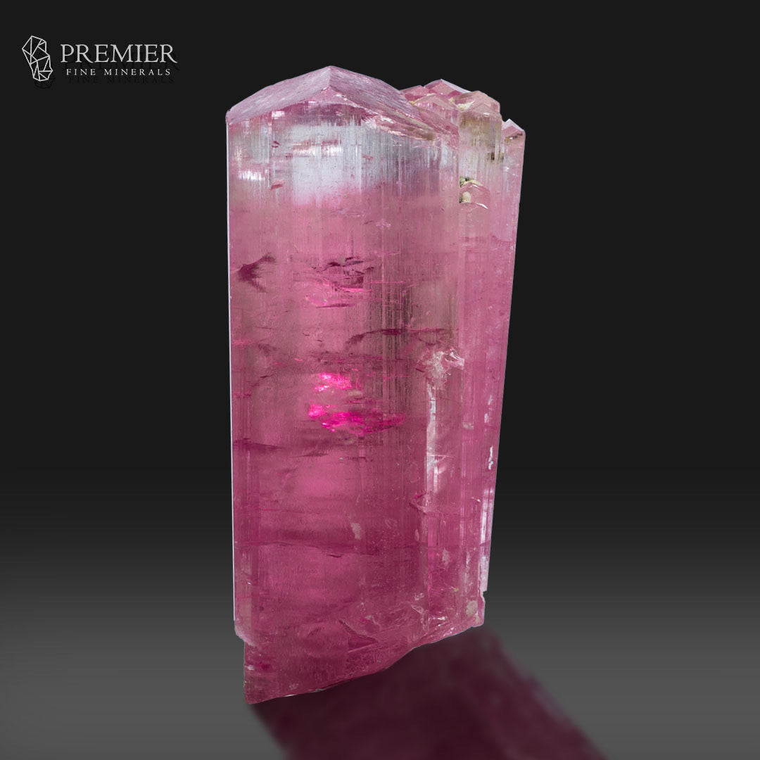 A natural pink tourmaline crystal with rough, unpolished edges, displayed on a reflective dark surface against a dark gray gradient background. The Premier Fine Minerals logo is visible in the top left corner.