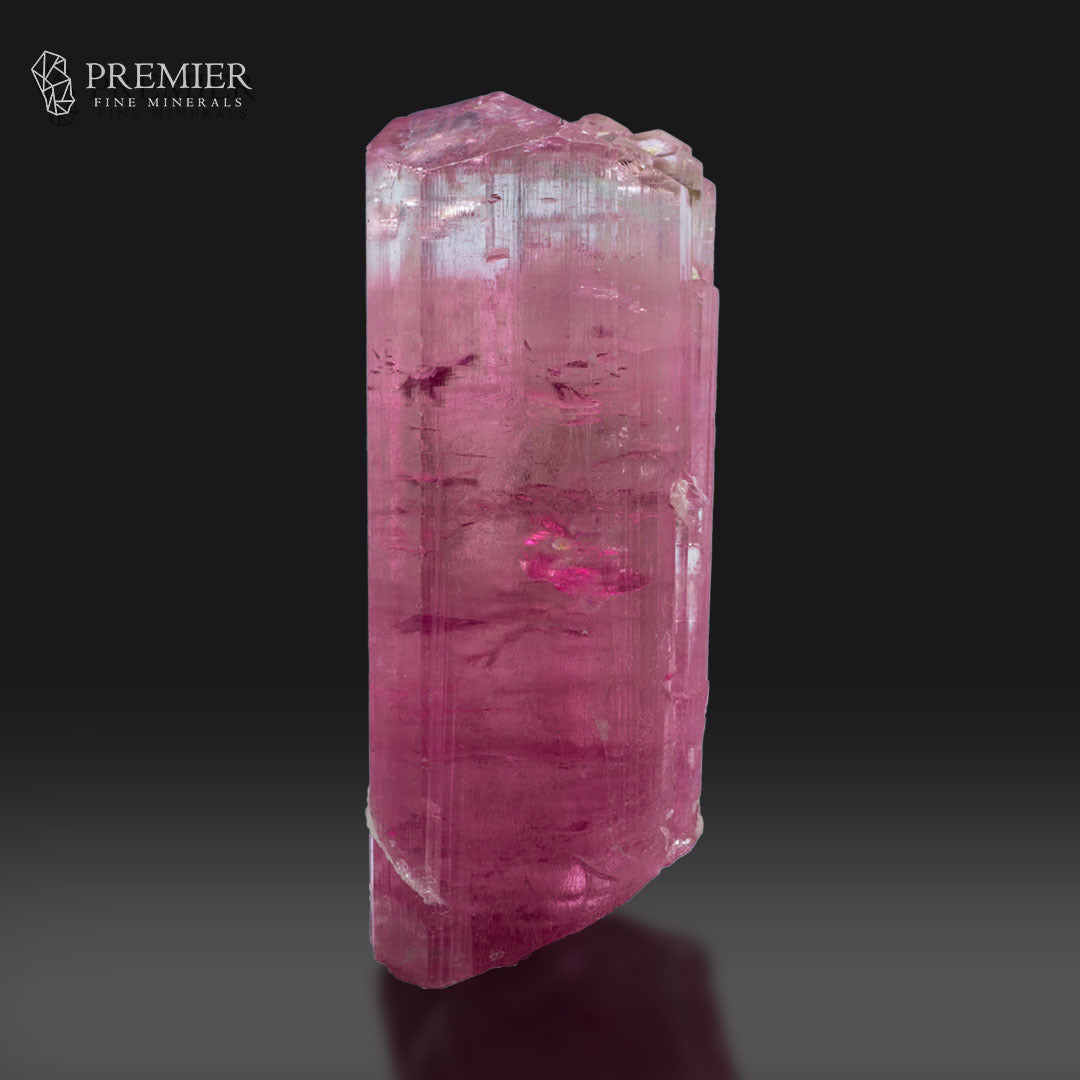 A raw pink tourmaline crystal mineral specimen with natural tabular facets, shown on a reflective dark gray surface against a black background. The Premier Fine Minerals logo is visible in the top left corner.