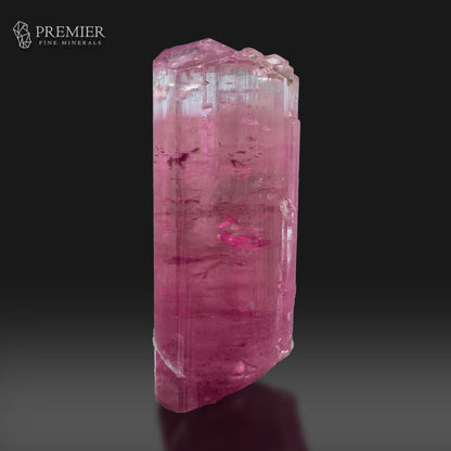 A raw pink tourmaline crystal mineral specimen with natural tabular facets, shown on a reflective dark gray surface against a black background. The Premier Fine Minerals logo is visible in the top left corner.
