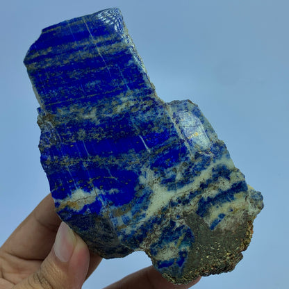 A hand holding a raw lapis lazuli crystal specimen with deep blue bands and beige matrix, set against a solid light blue background.