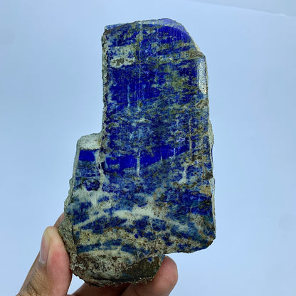 A hand holding a raw lapis lazuli crystal specimen with deep blue matrix and white veining, shown against a plain light blue background.