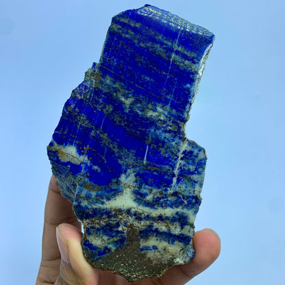 A hand holding a Polished lapis lazuli crystal specimen with deep blue bands and white matrix, set against a solid light blue background.