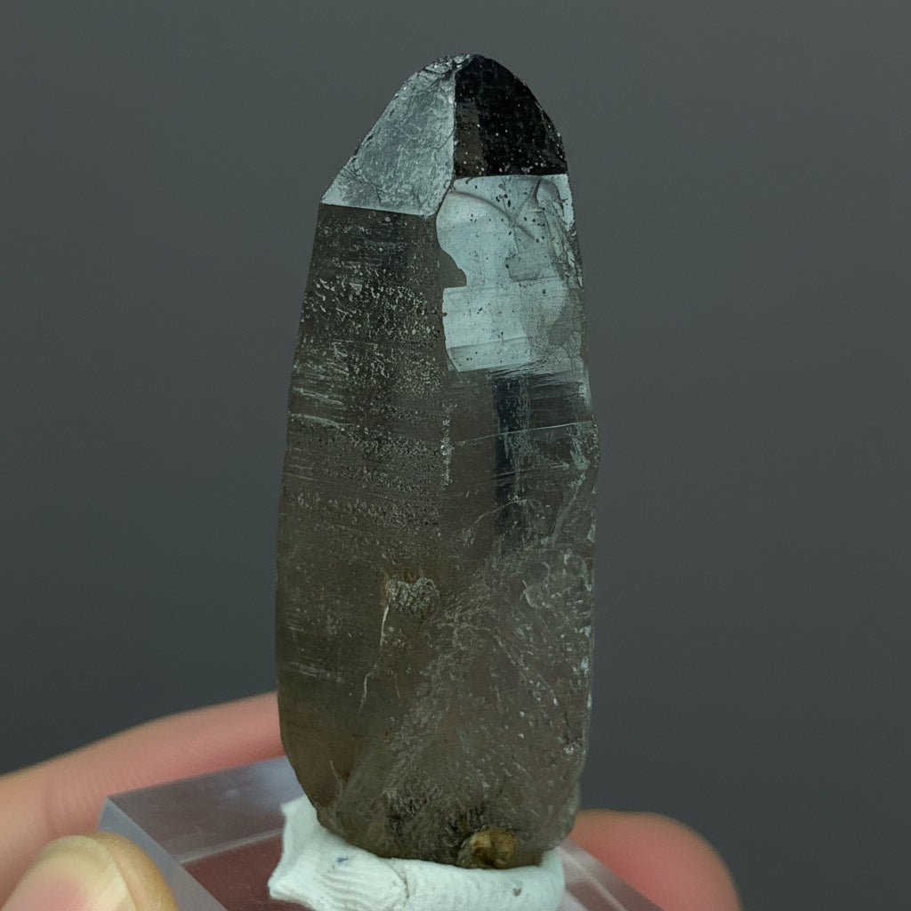 Rutile SmokyQuartz, Terminated Crystal, Rutilated Quartz, Natural Point Crystal, 185 Carat Crystal, Exquisite Mineral, Pakistan Quartz, Raw Crystal, Quartz Specimen, Black Rutile Inclusions, Collector Crystal, Healing Crystal.