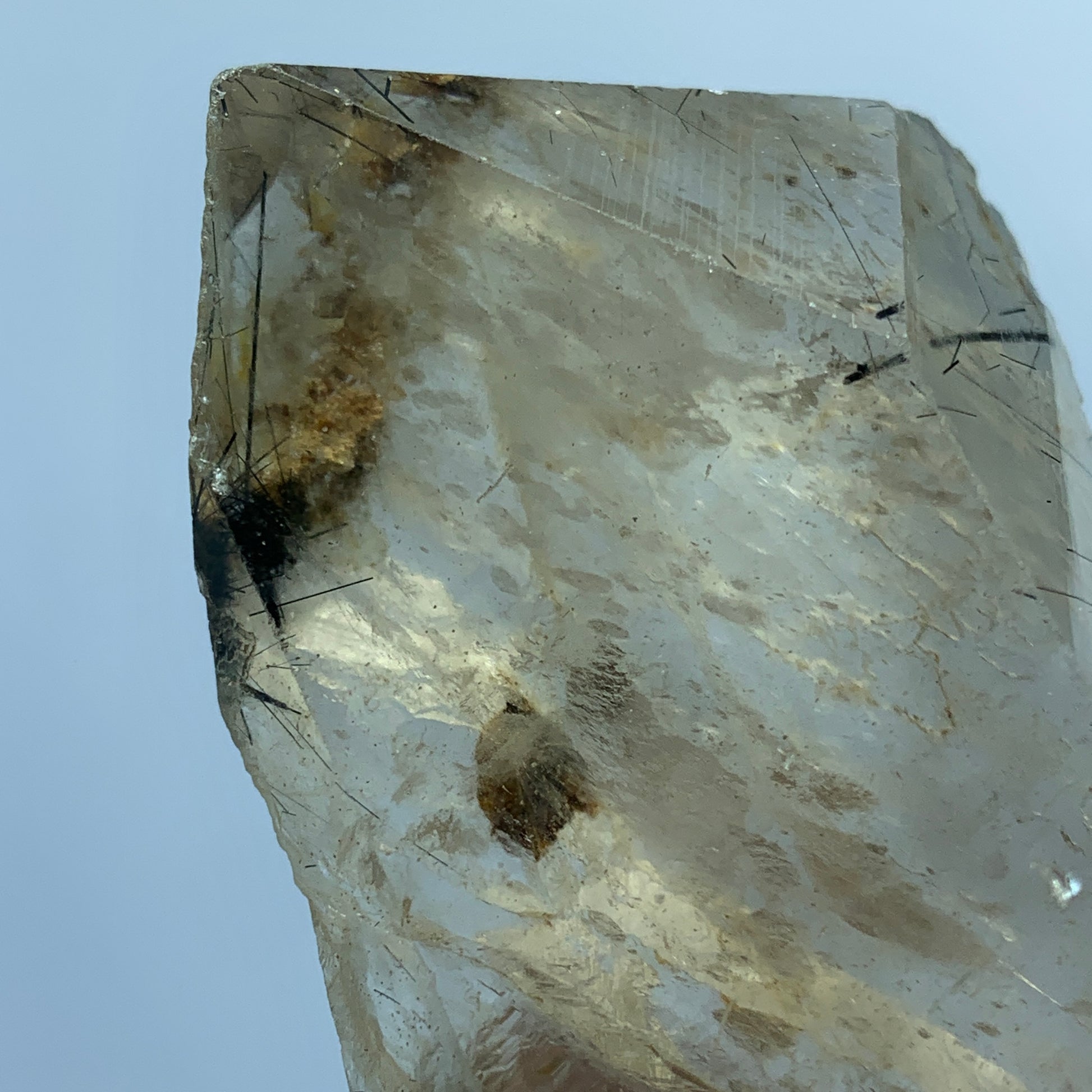 Black Rutile Quartz, Terminated Crystal, Large Crystal, Rutilated Quartz, Natural Point Crystal, 370 Carat Crystal, Rare Mineral, Pakistan Quartz, Raw Crystal, Quartz Specimen, Black Rutile Inclusions, Collector Gemstone