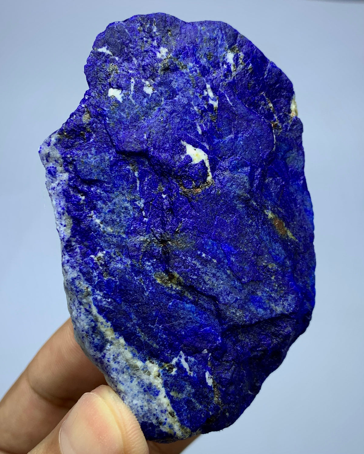 A raw, rough Lapis Lazuli crystal held by a hand against a light gray background. The stone features deep blue and purple bands with natural white and gold veining.