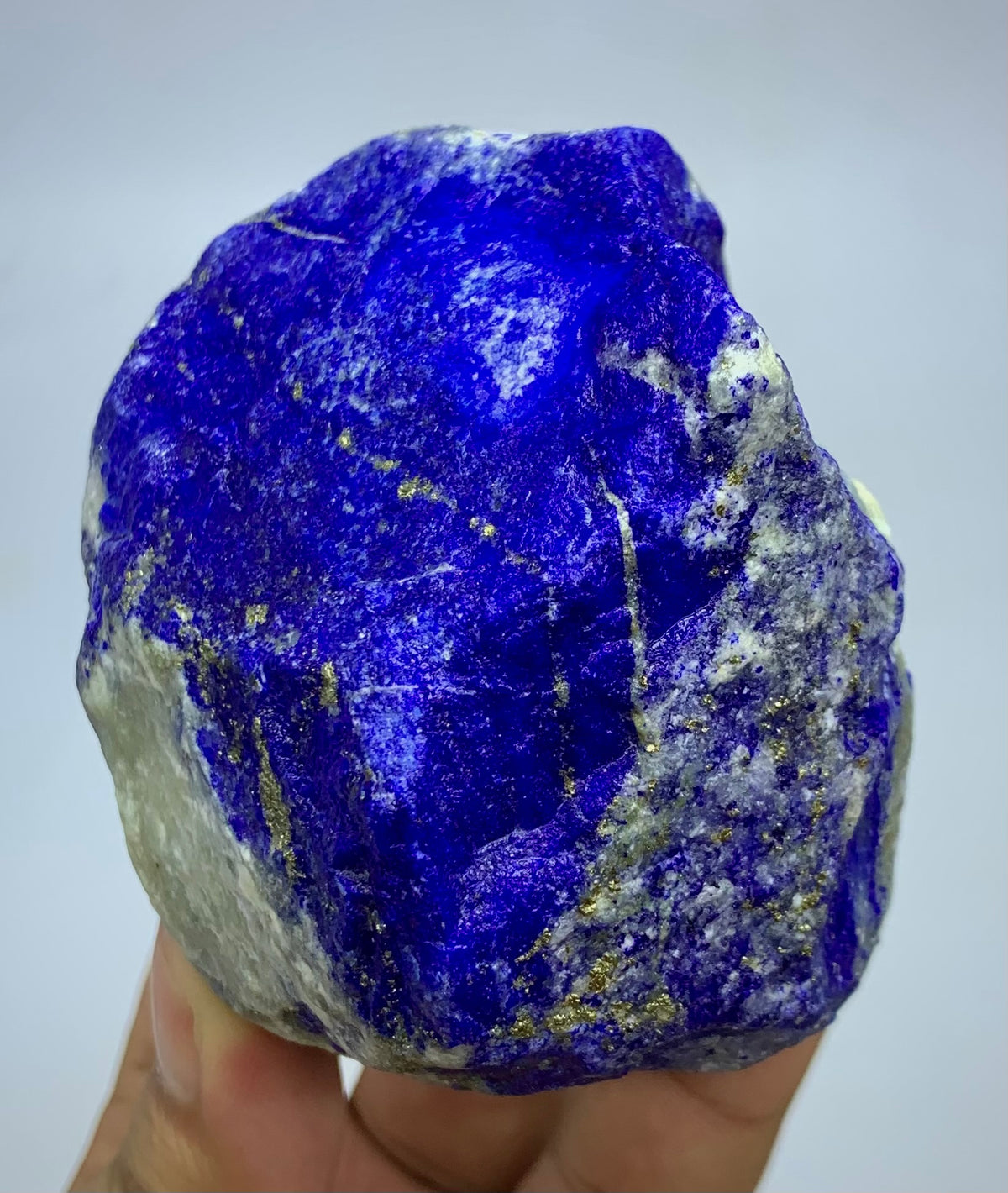 A raw blue lapis lazuli crystal with gold pyrite veins and a rough white matrix, held in a person's hand against a light gray background.