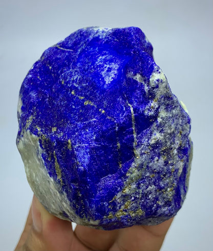 A raw blue lapis lazuli crystal with gold pyrite veins and a rough white matrix, held in a person's hand against a light gray background.