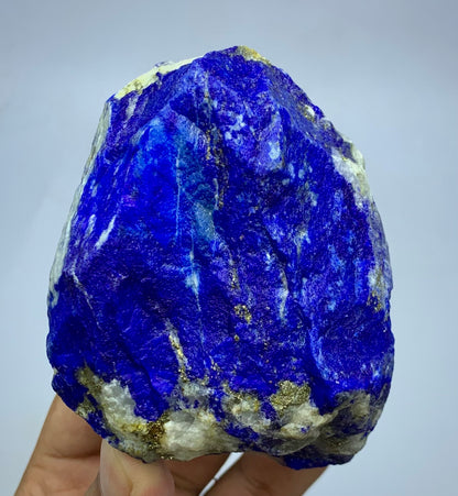 A raw lapis lazuli crystal specimen with deep blue coloration and gold pyrite veins, held in a person's hand against a plain light gray background.