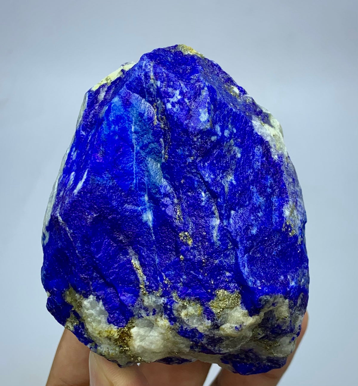 A raw lapis lazuli crystal specimen with deep blue coloration, white matrix, and gold pyrite inclusions, held in a hand against a light gray background.