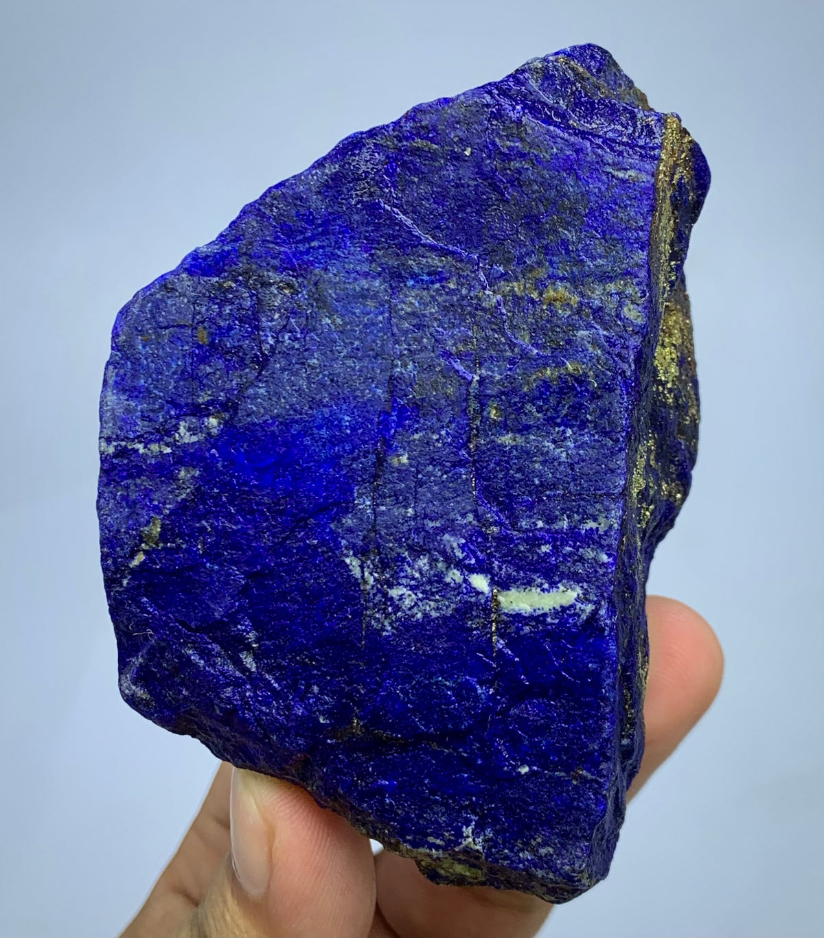 A raw, rough-cut blue lapis lazuli crystal specimen held in a person's hand against a light gray background.