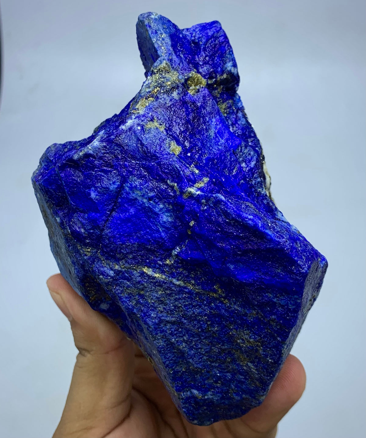 A raw, rough-cut blue lapis lazuli crystal specimen with prominent metallic gold pyrite veins, held in a person's hand against a plain light gray background.