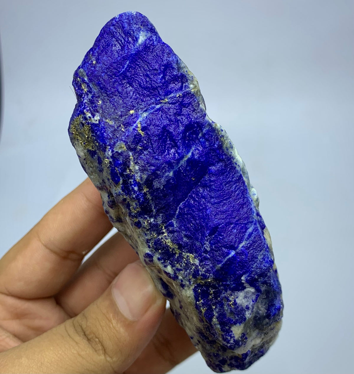 A hand holding a raw lapis lazuli crystal specimen, showing its deep blue color with natural gold pyrite inclusions and white matrix, against a plain light gray background.