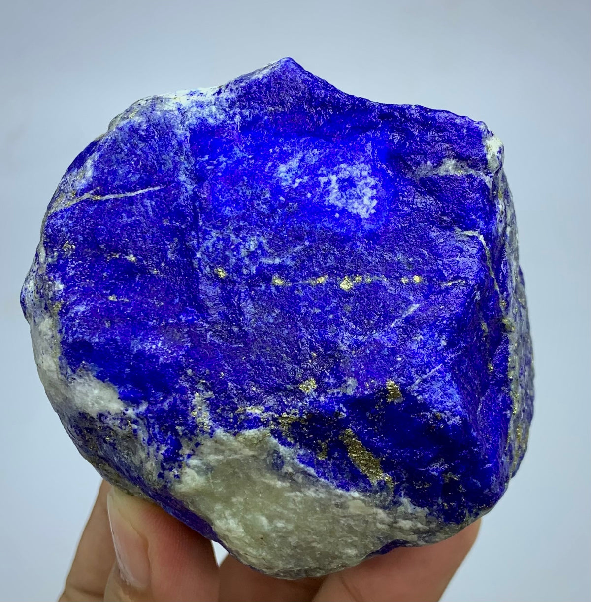 A raw lapis lazuli crystal specimen with deep blue and purple matrix and visible gold pyrite veins, held in a person's hand against a light gray background.