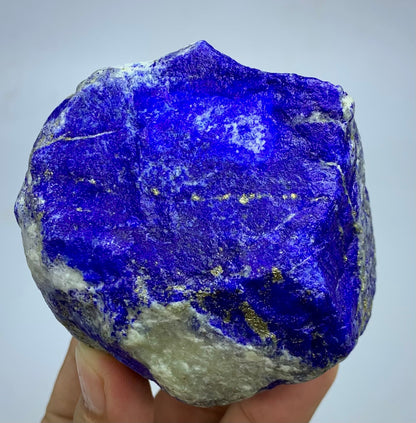 A raw lapis lazuli crystal specimen with deep blue and purple matrix and visible gold pyrite veins, held in a person's hand against a light gray background.