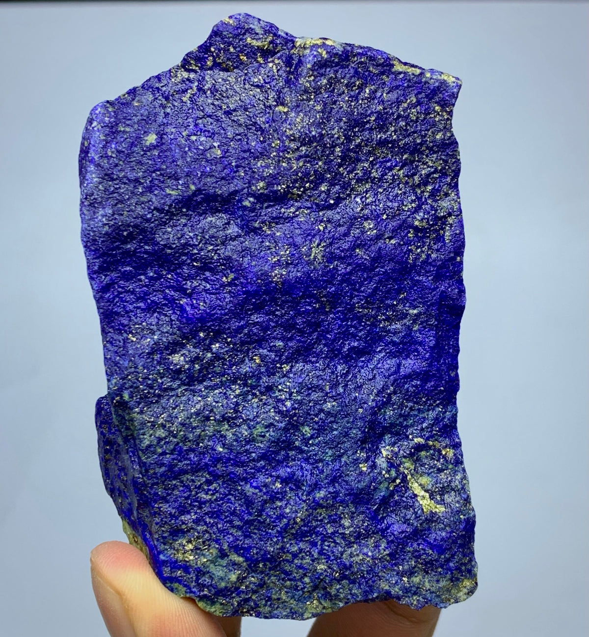 A raw, rough-cut piece of lapis lazuli crystal held in a hand, showcasing its deep blue color with prominent metallic gold pyrite inclusions against a neutral light gray background.