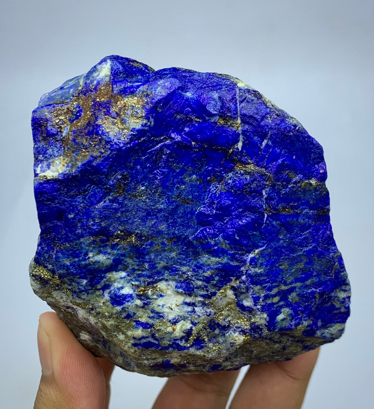 A raw lapis lazuli crystal specimen with deep blue, white, and gold matrix, held in a person's hand against a light gray background.
