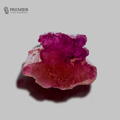 A raw pinkish-red mineral specimen with a bright magenta crystalline top, photographed on a neutral gray background with a shadow. The Premier Fine Minerals logo is visible in the top-left corner.