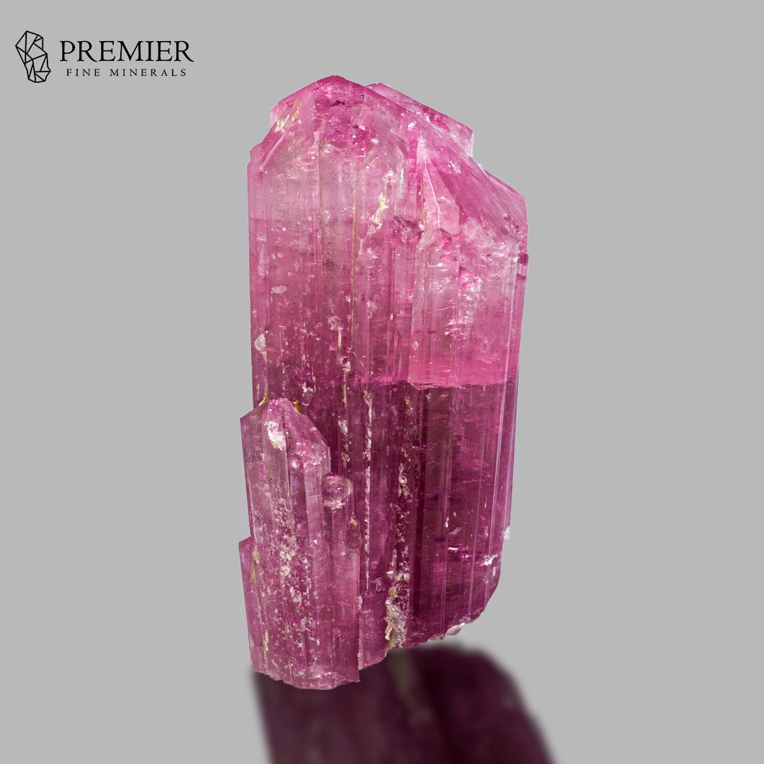 A pink tourmaline crystal cluster with natural rough edges, displayed on a neutral gray background with a reflection below. The Premier Fine Minerals logo is visible in the top left corner.