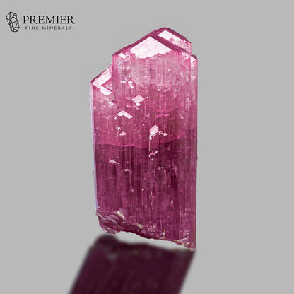 A pinkish-purple mineral crystal with a faceted, stepped top, displayed on a neutral gray background with a reflection below. The Premier Fine Minerals logo is visible in the top left corner.