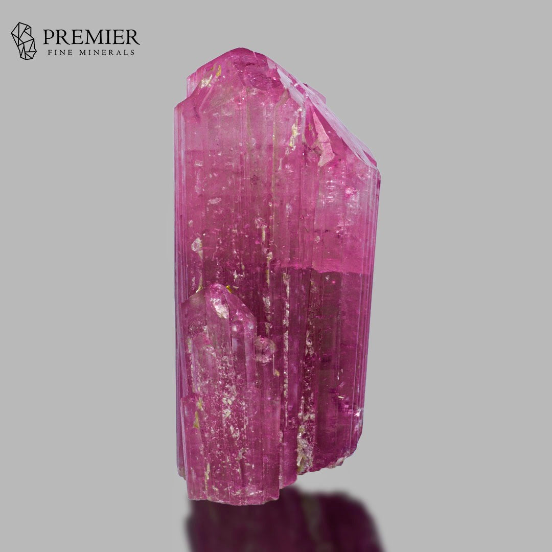 A pink tourmaline crystal specimen with natural striations and inclusions, displayed on a neutral gray background with a reflection below. The Premier Fine Minerals logo is visible in the top left corner.