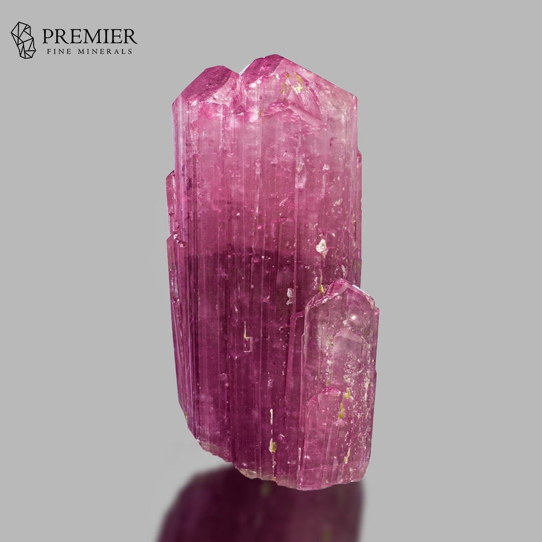 A pink tourmaline crystal cluster with prominent vertical prisms and a smaller secondary tab, displayed on a reflective gray surface against a solid gray background. The 'PREMIER FINE MINERALS' logo is visible in the top-left corner.