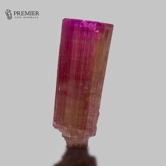 A single pink tourmaline crystal specimen with vertical striations, photographed on a plain light gray background. The Premier Fine Minerals logo is visible in the upper left corner.