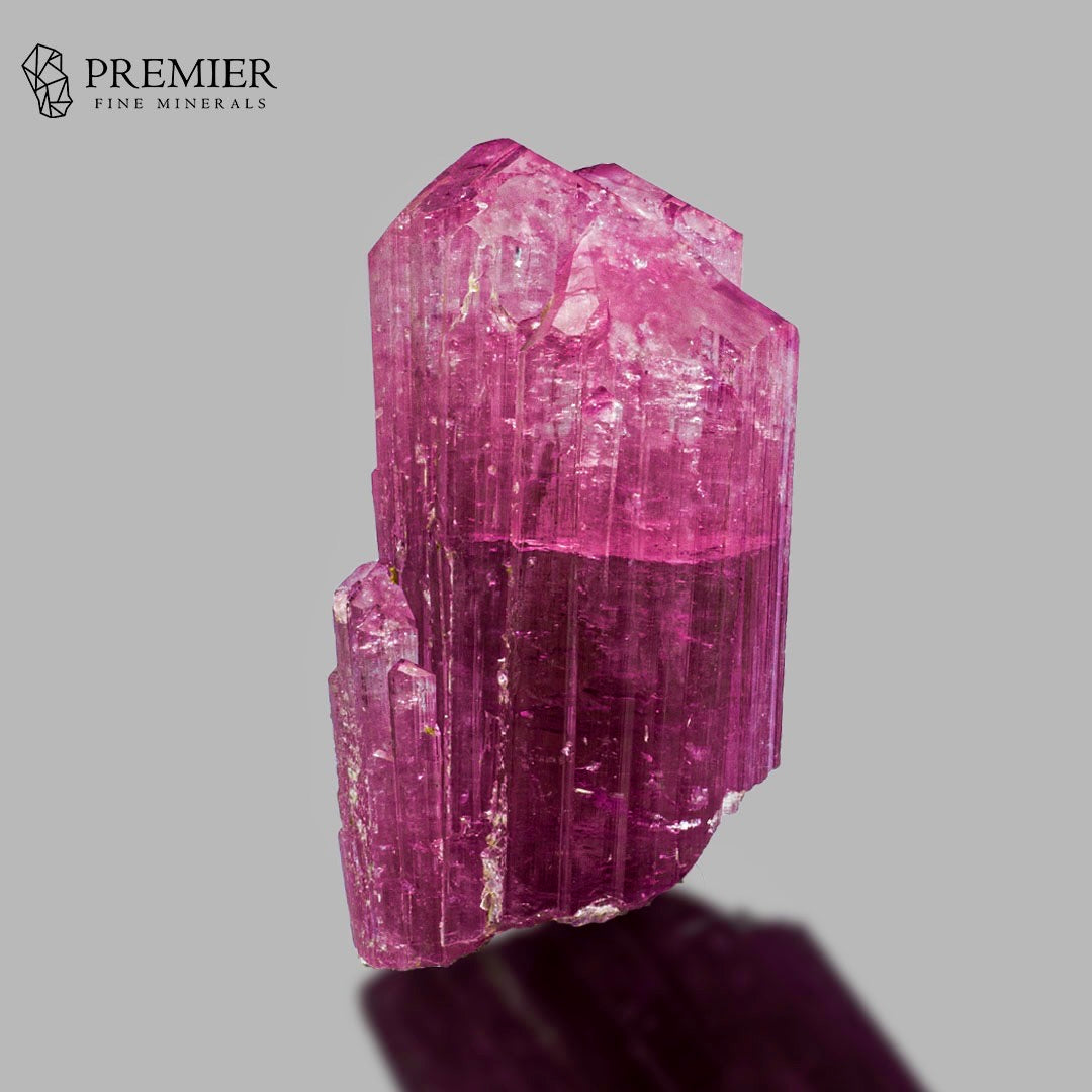 A vibrant magenta-pink tourmaline crystal cluster with distinct vertical ribbing, displayed on a neutral gray background with a soft purple shadow. The 'PREMIER FINE MINERALS' logo is visible in the top-left corner.