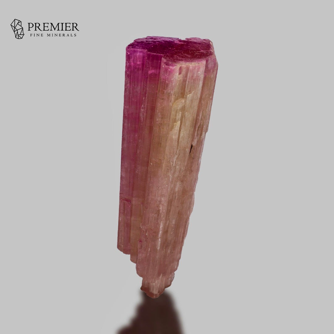 A natural mineral specimen of pink tourmaline with magenta-pink and peach coloration, standing vertically on a neutral gray background with a soft shadow below. The Premier Fine Minerals logo is visible in the top left corner.