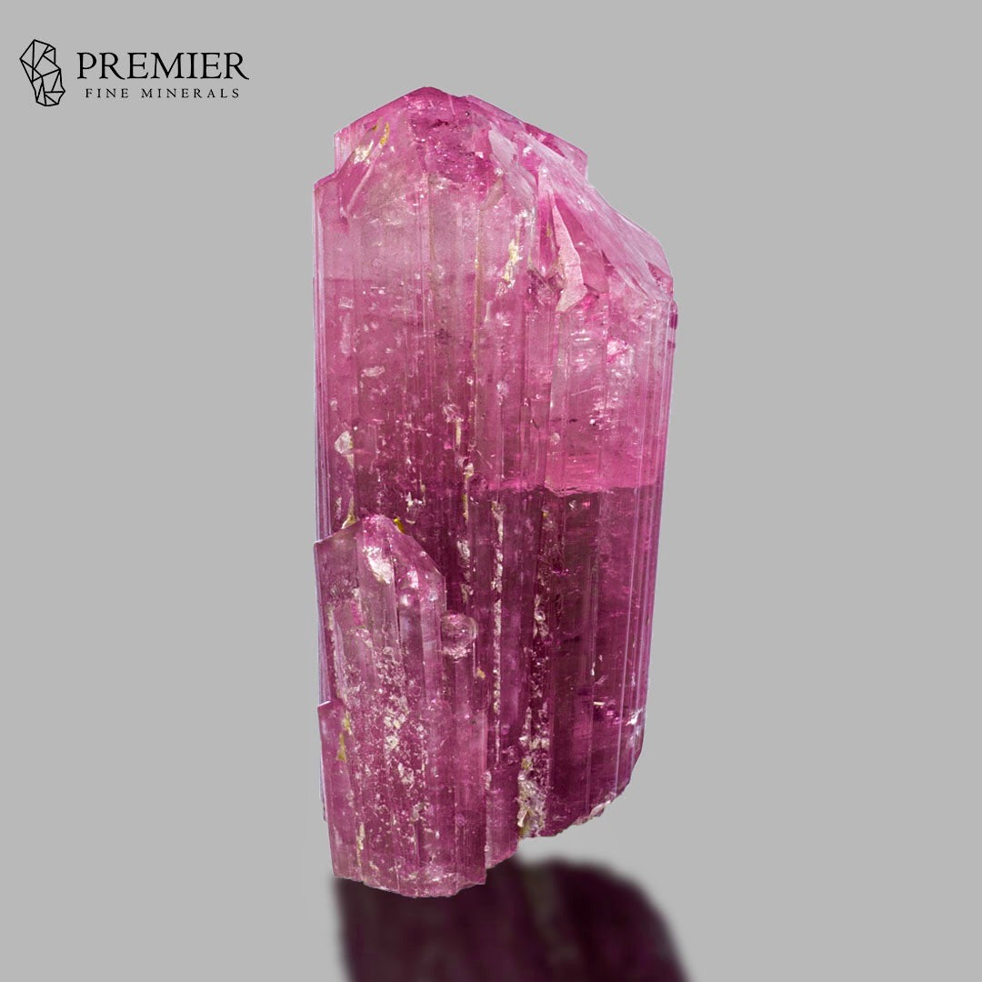 A pink tourmaline crystal cluster with natural inclusions, displayed on a reflective surface against a solid gray background, with the Premier Fine Minerals logo in the top-left corner.