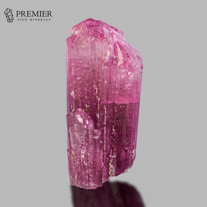 A pink tourmaline crystal cluster with natural inclusions, displayed on a reflective surface against a solid gray background, with the Premier Fine Minerals logo in the top-left corner.