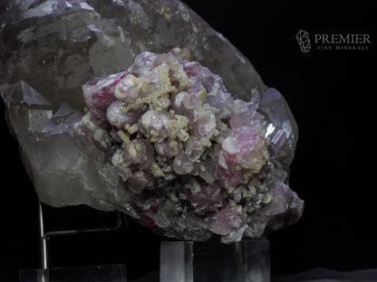 Quartz, Smoky Quartz, Elestial, Pink Tourmaline, Rubellite, Tourmaline, Combination Specimen, 5.05 Kilograms, 25250 Carats, Afghanistan Mineral, Raw Crystal, Collector Grade, Museum Quality, Giant Crystal