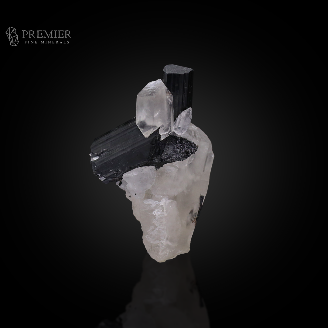 Schorl, Tourmaline, Black Tourmaline, Quartz, Combination Specimen, 22.23 Grams, 111.15 Carats, Afghanistan Mineral, Raw Crystal, Collector Grade, Miniature Specimen, Contrast