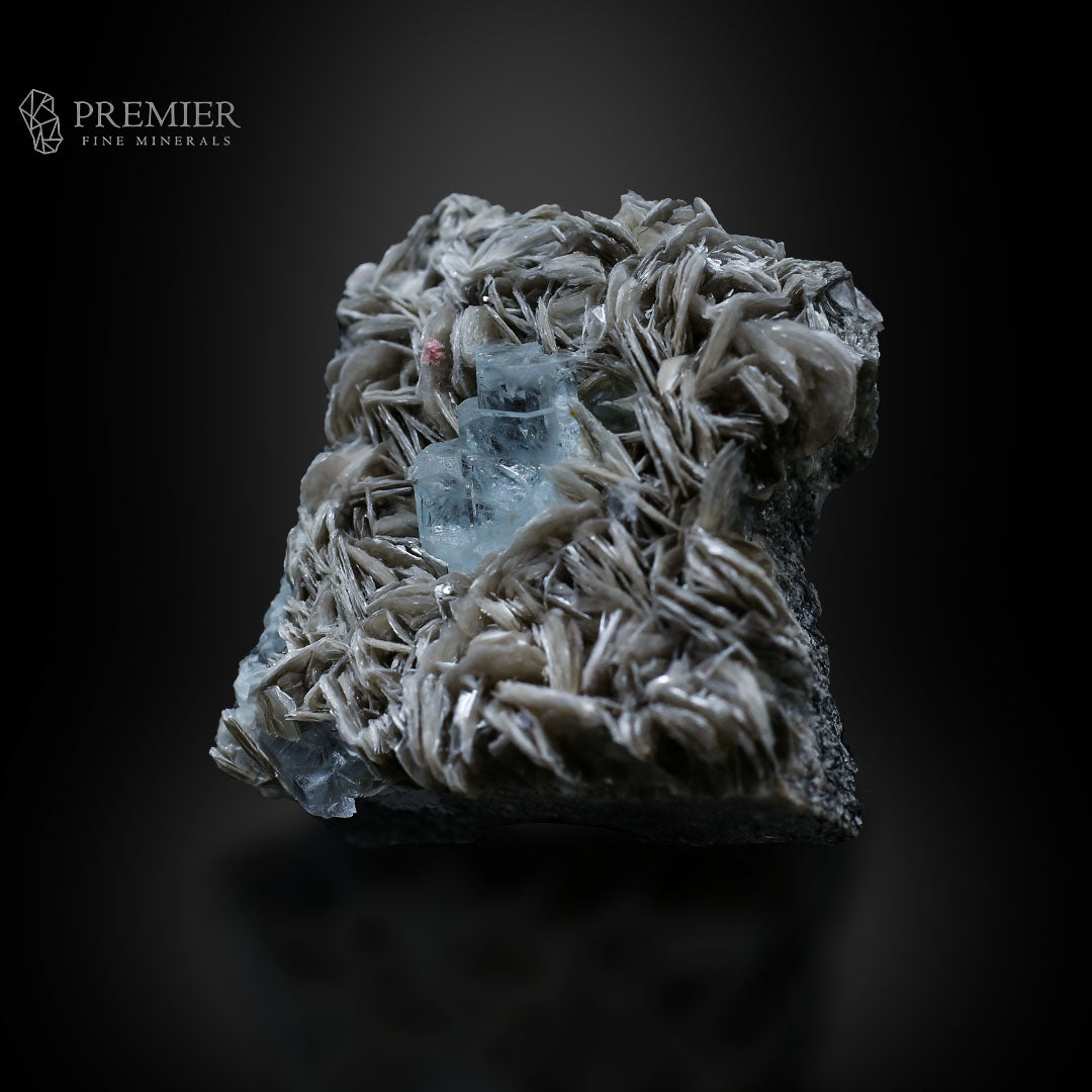 Aquamarine, Beryl, Muscovite, Mica, Cluster, Combination Specimen, 184.5 Grams, 922.5 Carats, Pakistan Mineral, Skardu, Raw Crystal, Collector Grade, Cabinet Miniature, Gem Quality