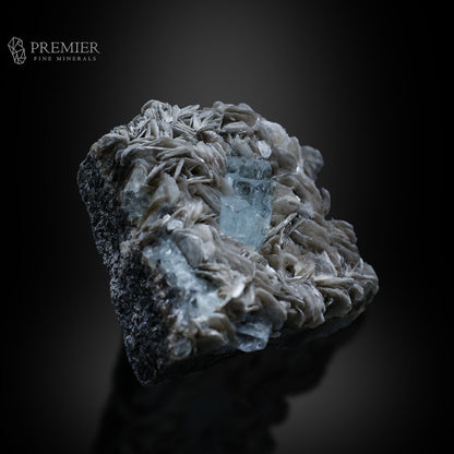 Aquamarine, Beryl, Muscovite, Mica, Cluster, Combination Specimen, 184.5 Grams, 922.5 Carats, Pakistan Mineral, Skardu, Raw Crystal, Collector Grade, Cabinet Miniature, Gem Quality