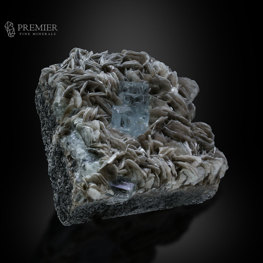 Aquamarine, Beryl, Muscovite, Mica, Cluster, Combination Specimen, 184.5 Grams, 922.5 Carats, Pakistan Mineral, Skardu, Raw Crystal, Collector Grade, Cabinet Miniature, Gem Quality