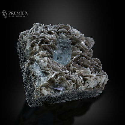 Aquamarine, Beryl, Muscovite, Mica, Cluster, Combination Specimen, 184.5 Grams, 922.5 Carats, Pakistan Mineral, Skardu, Raw Crystal, Collector Grade, Cabinet Miniature, Gem Quality