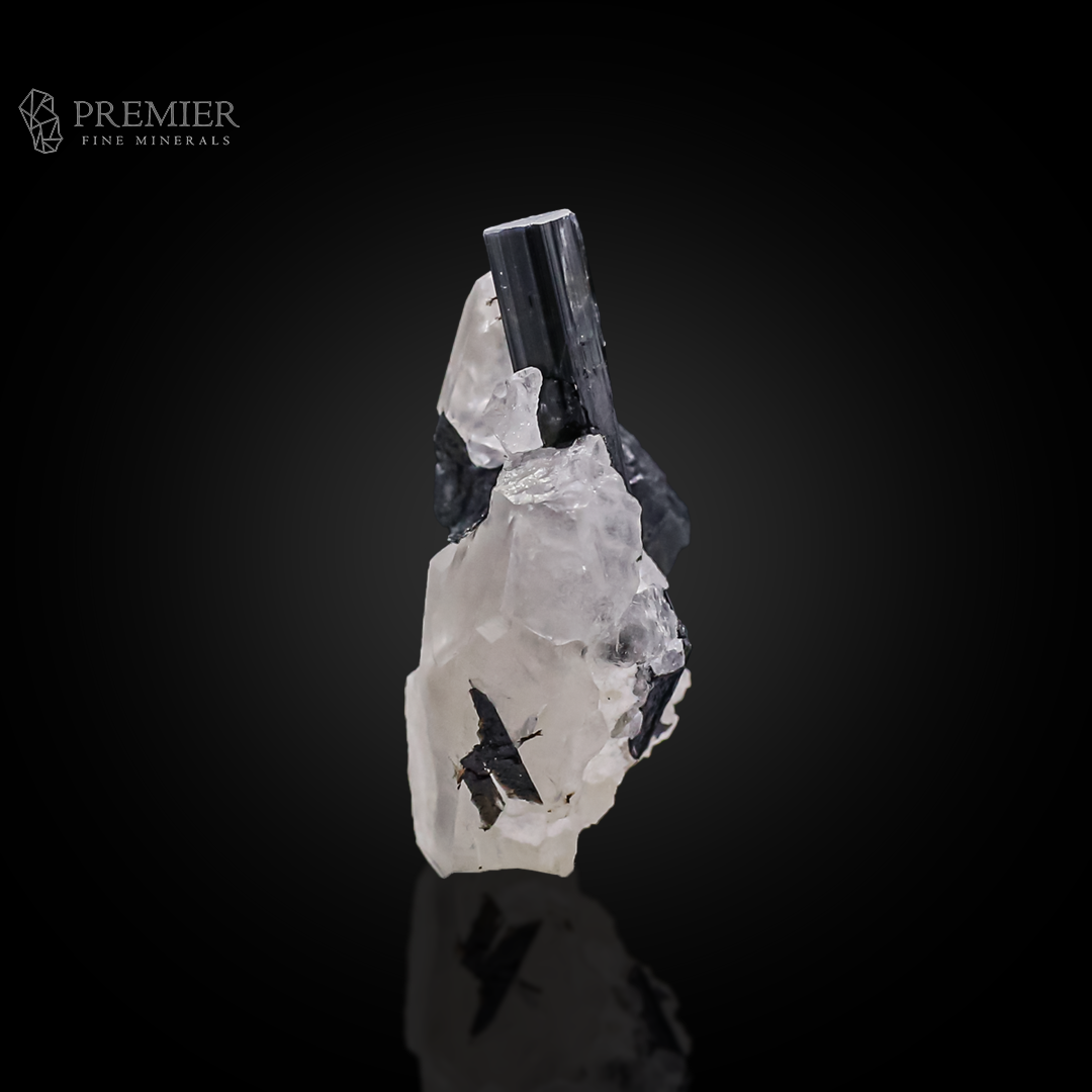 Schorl, Tourmaline, Black Tourmaline, Quartz, Combination Specimen, 22.23 Grams, 111.15 Carats, Afghanistan Mineral, Raw Crystal, Collector Grade, Miniature Specimen, Contrast