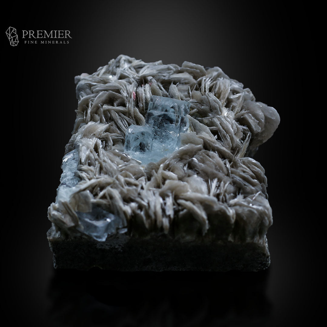 Aquamarine, Beryl, Muscovite, Mica, Cluster, Combination Specimen, 184.5 Grams, 922.5 Carats, Pakistan Mineral, Skardu, Raw Crystal, Collector Grade, Cabinet Miniature, Gem Quality