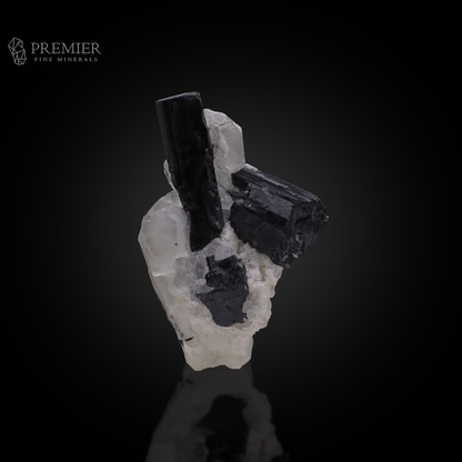 Schorl, Tourmaline, Black Tourmaline, Quartz, Combination Specimen, 22.23 Grams, 111.15 Carats, Afghanistan Mineral, Raw Crystal, Collector Grade, Miniature Specimen, Contrast