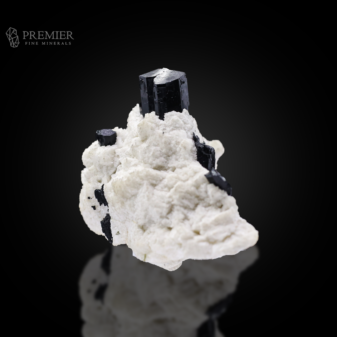 Schorl, Tourmaline, Black Tourmaline, Albite, Feldspar, Combination Specimen, 48.9 Grams, 244.5 Carats, Pakistan Mineral, Skardu, Raw Crystal, Collector Grade, Miniature Specimen, Contrast