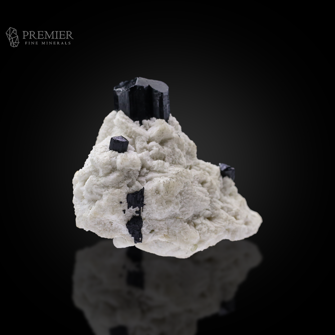 Schorl, Tourmaline, Black Tourmaline, Albite, Feldspar, Combination Specimen, 48.9 Grams, 244.5 Carats, Pakistan Mineral, Skardu, Raw Crystal, Collector Grade, Miniature Specimen, Contrast