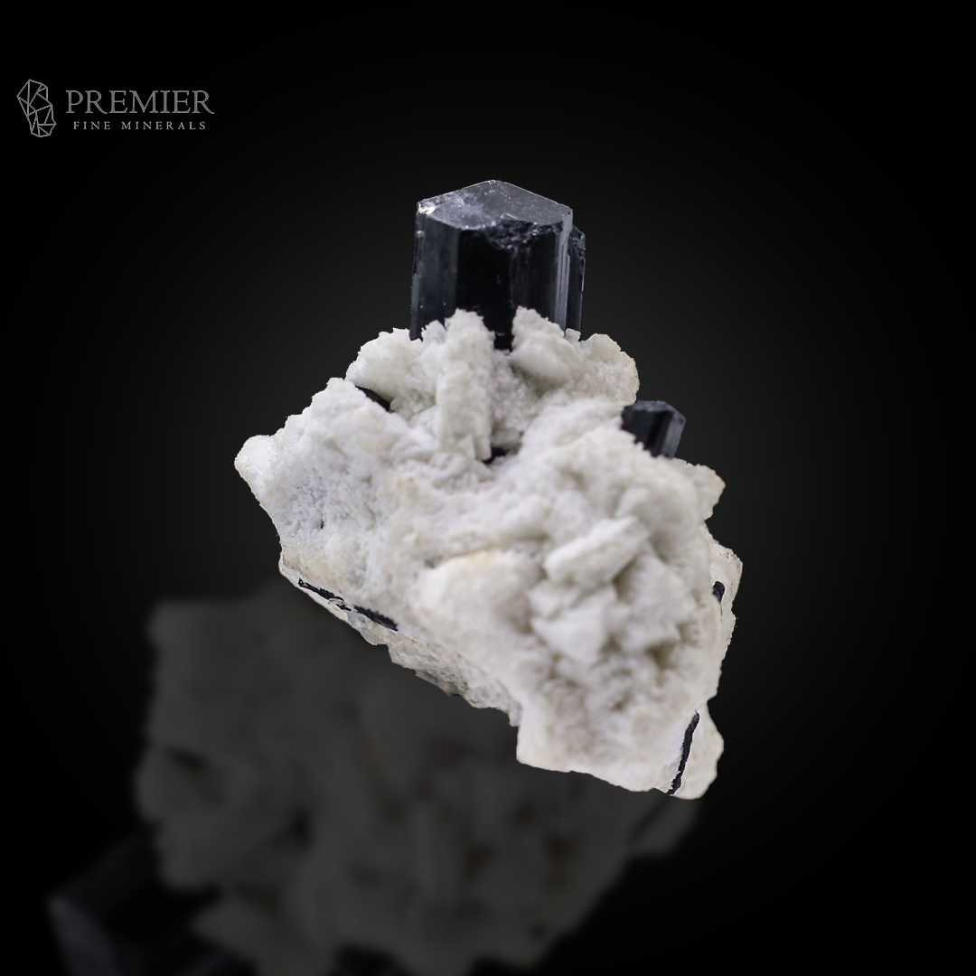 Schorl, Tourmaline, Black Tourmaline, Albite, Feldspar, Combination Specimen, 48.9 Grams, 244.5 Carats, Pakistan Mineral, Skardu, Raw Crystal, Collector Grade, Miniature Specimen, Contrast