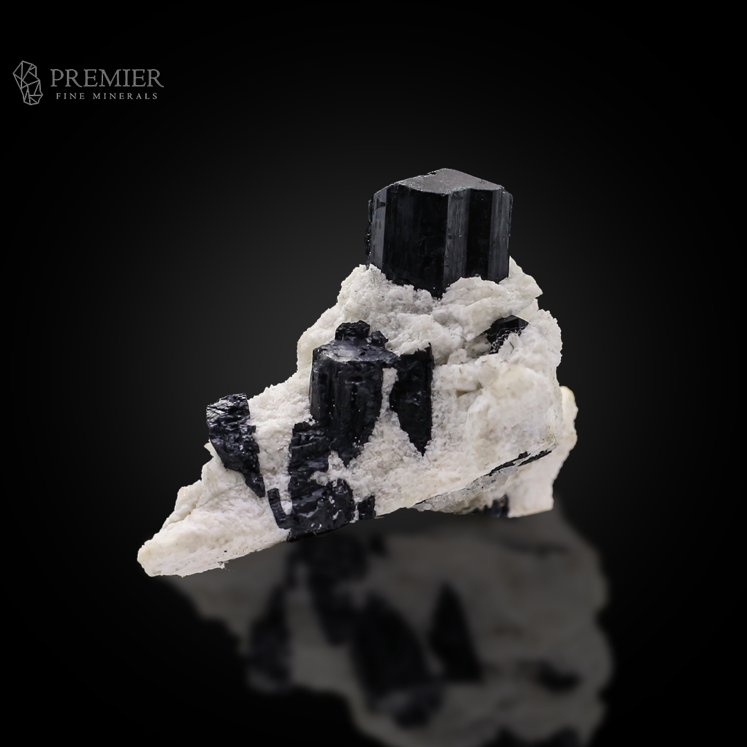 Schorl, Tourmaline, Black Tourmaline, Albite, Feldspar, Combination Specimen, 48.9 Grams, 244.5 Carats, Pakistan Mineral, Skardu, Raw Crystal, Collector Grade, Miniature Specimen, Contrast