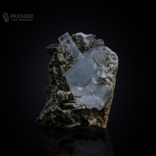 Beautiful 156 Gram (780 ct) Aquamarine crystal cluster on a shimmering Muscovite Mica matrix (66 x 47 x 37 mm) from Pakistan. Features exceptional blue-on-silver contrast.