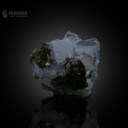Aquamarine, Beryl, Muscovite, Mica, Combination Specimen, , Pakistan Mineral, Skardu, Himalayan, Raw Crystal, Collector Grade, Aesthetic Mineral