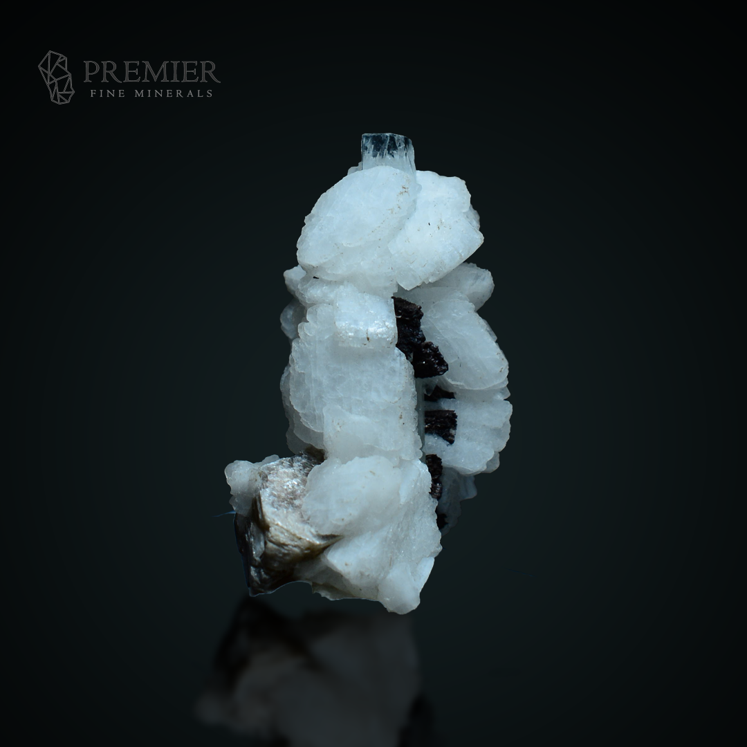 Aquamarine, Siderite, Mica, Beryl, 35 Carats, 7 Grams, Pakistan Mineral, Thumbnail Specimen, Feldspar Matrix, Rare Association, Collector Grade, TN Mineral, Throat Chakra