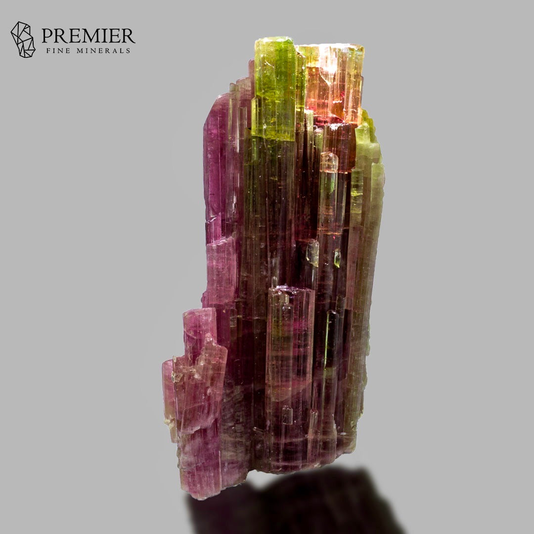 A multicolored tourmaline crystal cluster with prominent magenta, green, and orange hues, displayed on a neutral gray background with a brand logo in the top left corner.
